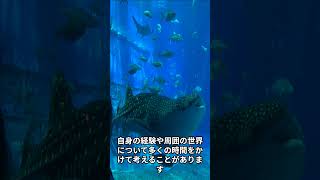 僕は、HSPかもしれません(;'∀') #shotrs  #チャンネル登録よろしくお願いします