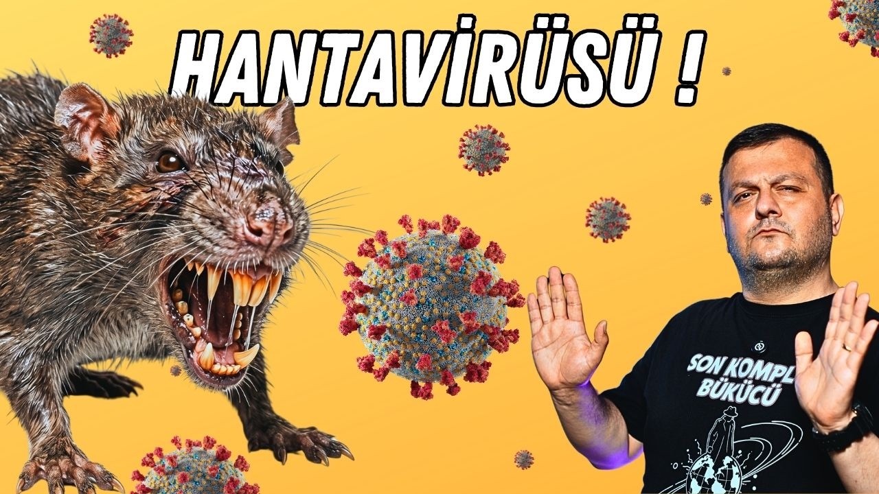 Hantavirüs Salgınından Korkmalı Mıyız? 
