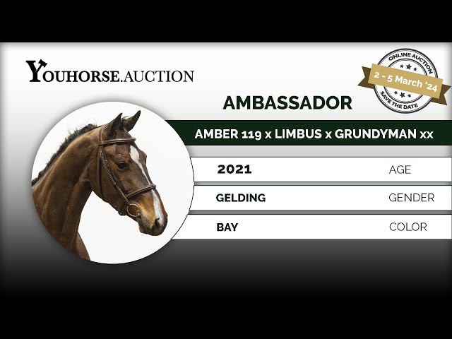 Ambassador