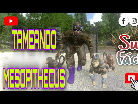 Como tamear(domesticar)muchos Mesopithecus de la maneras más fácil..!!