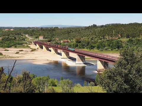 Comboio Especial n.º 91202/3 - Constância Sul