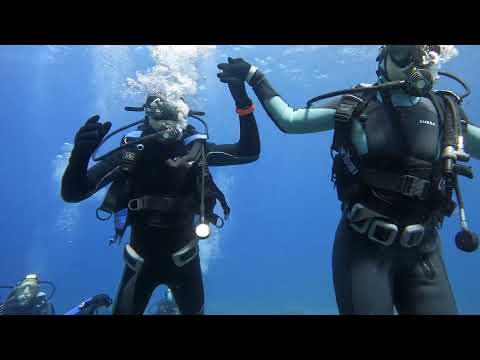 Dimensione H2O asd 13/8/2022 immersione didattica presso l' Isola del Tinetto