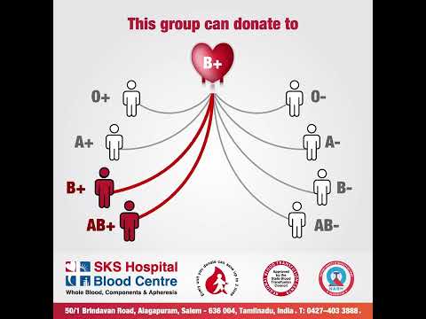 Do you know to which blood group B+ donors can contribute?