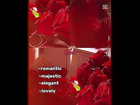 Ask your friends which flower you are?