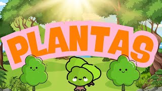 PLANTAS – AULA 5 [CadaPasso.Ensino]