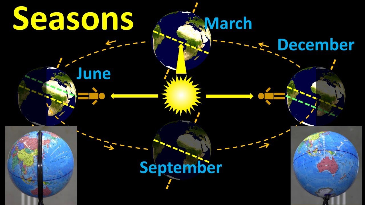 Seasons: What causes summer and winter?