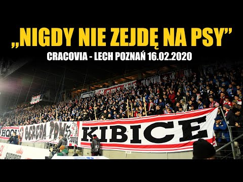 "NIGDY NIE ZEJDĘ NA PSY" w wykonaniu kibiców Cracovii i Lecha Poznań 16.02.2020