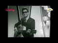 NEW * Pretty Paper - Roy Orbison {Stereo} 1963