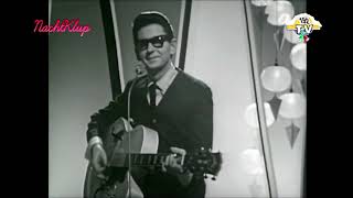 NEW * Pretty Paper - Roy Orbison {Stereo} 1963