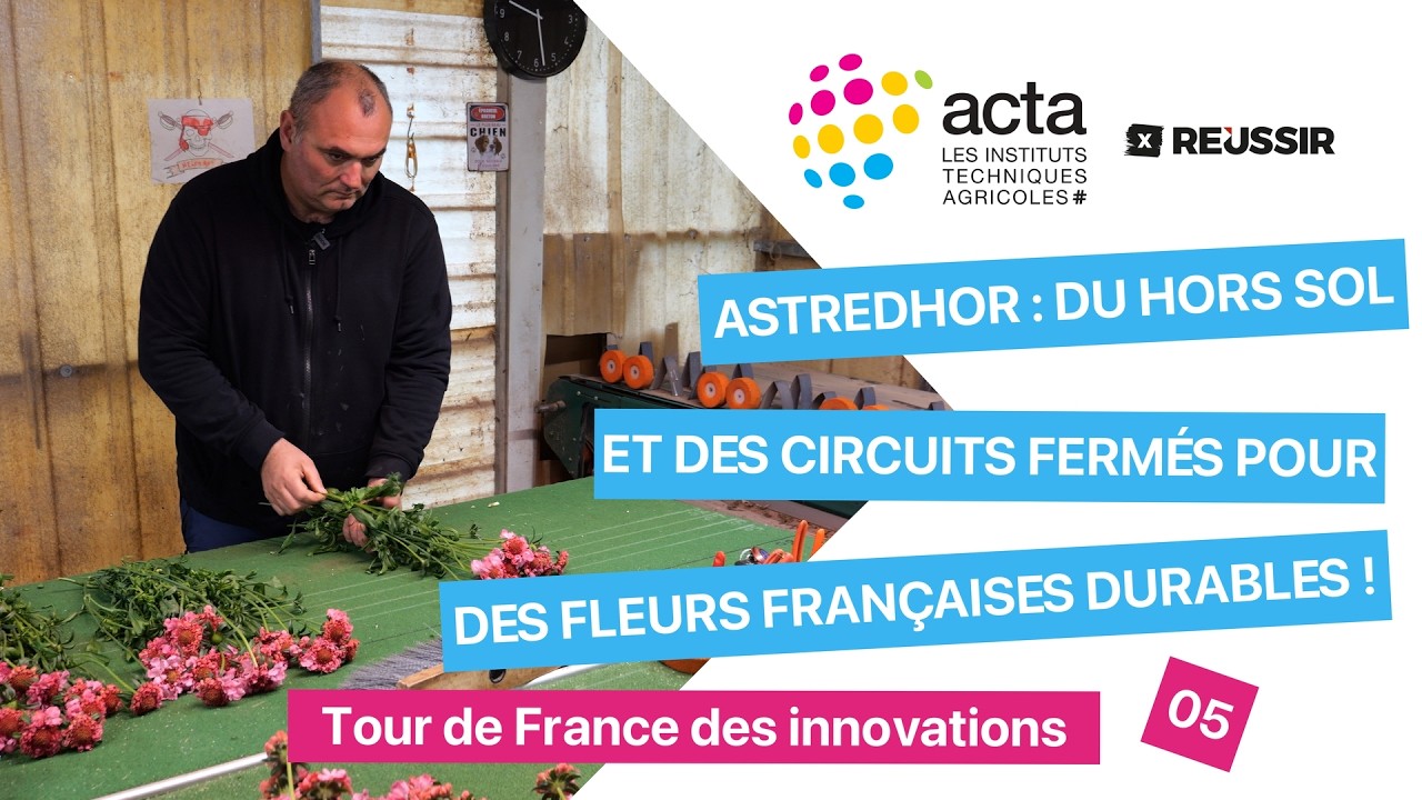 Des fleurs françaises, locales et durables grâce à Astredhor !