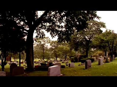 The Harvest of Sorrow (8/8)