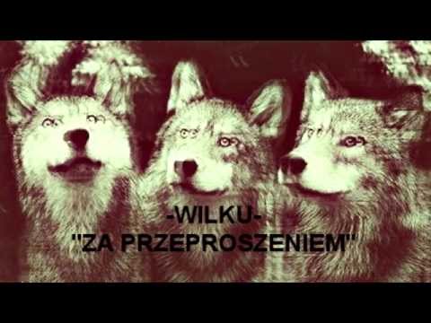 Wilku - Za przeproszeniem