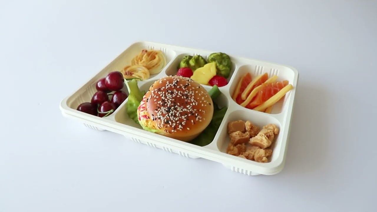 Eco-friendly corn starch tray food container