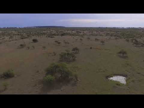 Venta de 25 Has. en mercedes - Corrientes