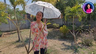 🇹🇭THAILAND NEWS 12.01.2026 STEUERREGELN FÜR AUSLÄNDER | MOTORRADLÄRM | SOCIAL LIMIT | Farang RADLER