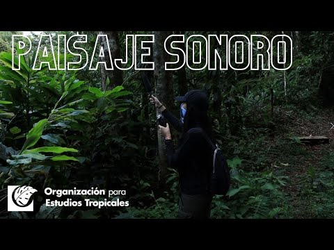 El Paisaje Sonoro - Ecología Tropical Y Conservación 2022