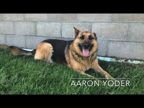 Aaron Yoder