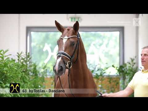 Verden Stallion Licensing 2021 - Dressage -  Nov. 4-6 - No. 63 Stallion by Totilas - Danciano