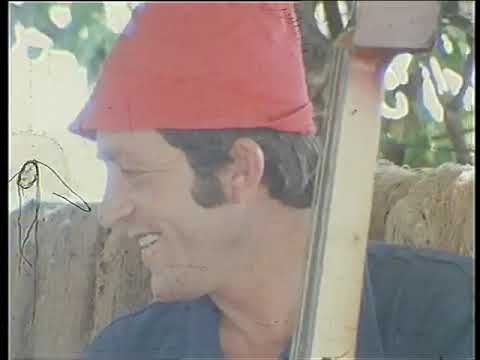 Grupa Dalmatinaca Petra Tralića - Vratija se Šime (Official video)