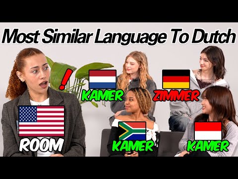 American Was Shocked by Word Differences Between 5 Countries!! Which Language is Closest to Dutch?