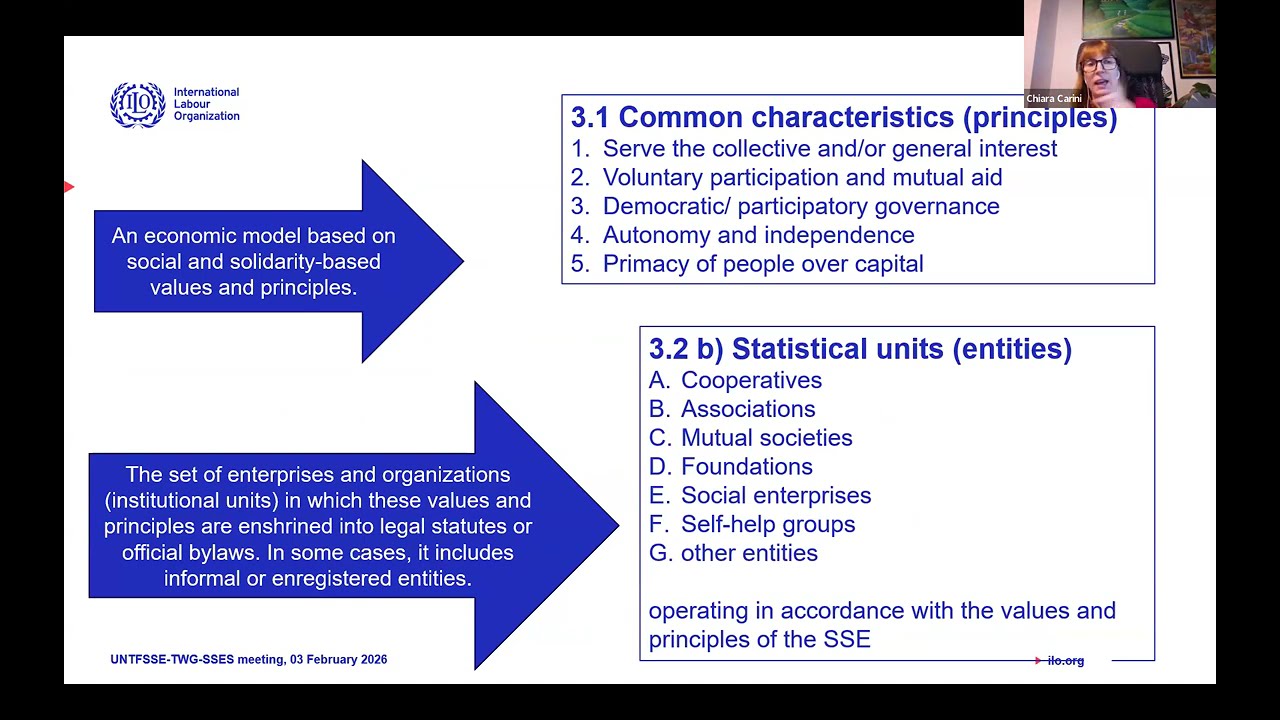 UNTFSSE Technical Working Group on SSE Statistics