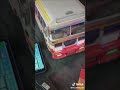 Cardboard Bus Homemede Srilanka Fames 𒆜foryou Dhamrejina Koobio Layland