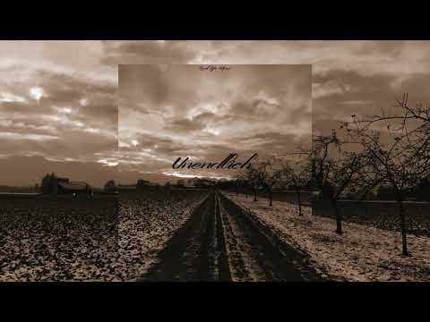 DANEO feat. SfM - Unendlich (prod. by Mivadi)