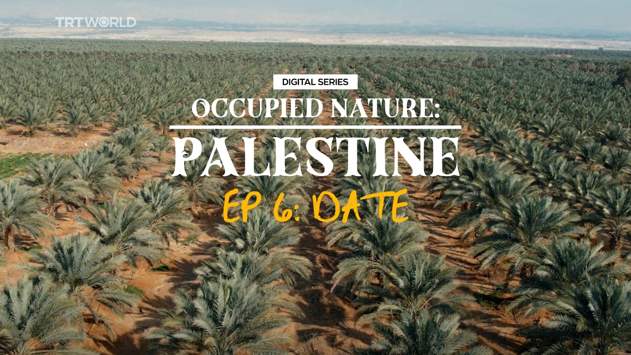 Occupied Nature: Palestine - Ep 6: Date