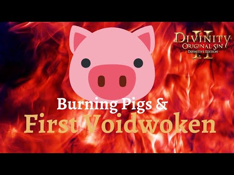 Burning Pigs and First Voidwoken - Divinity: Original Sin 2