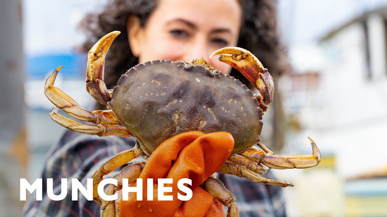 Farideh s in Oregon Searching for Dungeness Crab