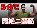 悶絶必須!5分で上腕二頭筋と前腕がパンパンになるダンベルを使ったトレーニング方法!