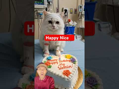 Happy Nice‼️#animalintelligence #aiandcats #aicats #cats #catvideos #catshorts