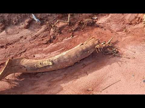 Lago do bairro Miravista na cidade de Mirassol São Paulo, em construção!