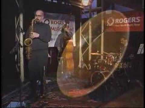 Adam Niewood Trio plays "Ella Bella"