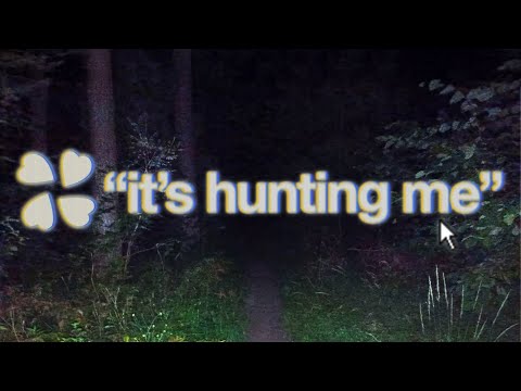 Unexplainable True 4Chan Threads