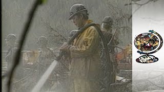 Alaska's Oil Spill Catastrophe (1993)