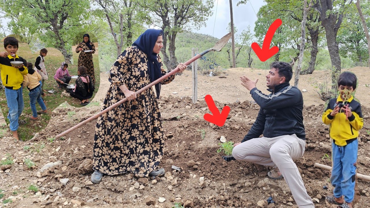 Pregnant Hajar in the Garden; Planting Tomatoes and the Officer’s Disturbance Again!