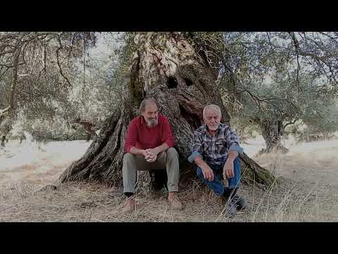 Cabañuelas 2025- 2026