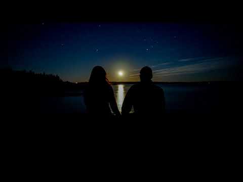 Vasile Palfi - Luna in camp