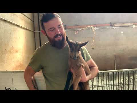 Intervista all'azienda agricola La Cascinassa di Pavone Canavese