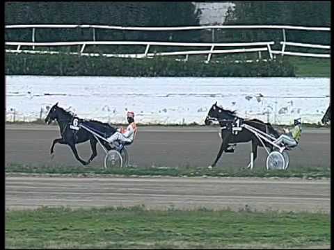 Trotto 21/01/2016 - 1° corsa