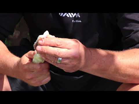 ASFN 2018 BAITS - Whole Chokka Mackerel casting bait