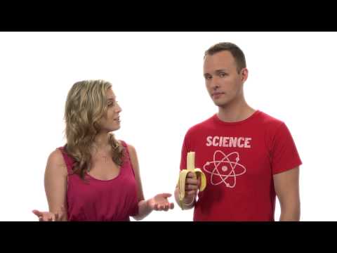 Chromosome 2 - Tales from the Genome