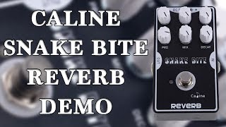 Video thumbnail for Caline - CP-26 Snake Bite Reverb - Demo by Ryan Lutton