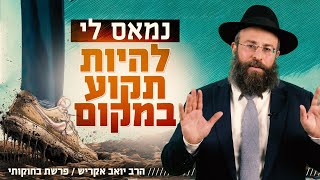"נמאס לי להיות תקוע במקום" - סוד הצמיחה האישית | פרשת בחוקותי (הרב יואב אקריש) - התמונה מוצגת ישירות מתוך אתר האינטרנט יוטיוב. זכויות היוצרים בתמונה שייכות ליוצרה. קישור קרדיט למקור התוכן נמצא בתוך דף הסרטון "נמאס לי להיות תקוע במקום" - סוד הצמיחה האישית | פרשת בחוקותי (הרב יואב אקריש) - התמונה מוצגת ישירות מתוך אתר האינטרנט יוטיוב. זכויות היוצרים בתמונה שייכות ליוצרה. קישור קרדיט למקור התוכן נמצא בתוך דף הסרטון