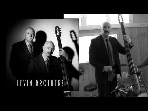 Levin Brothers Audio Sample online metal music video by LEVIN BROTHERS