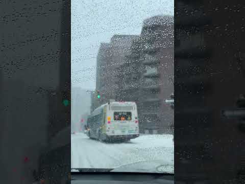 @VL-38#snow#snowstorm#montreal#canada#canadavlog#subscribe#support#me#foodie#food