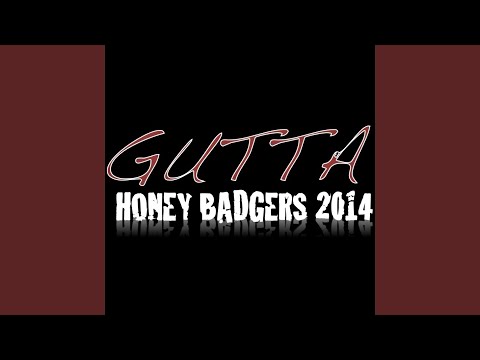Honey Badgers 2014