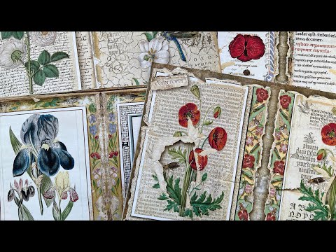 #roxysmedievalmiragemonday DTP | EP 23 Medieval Botanicals | New project Illuminated Botanicals