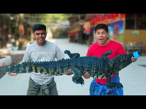 Amazing Crocodile Meat Curry | Cooking In Chinese Village